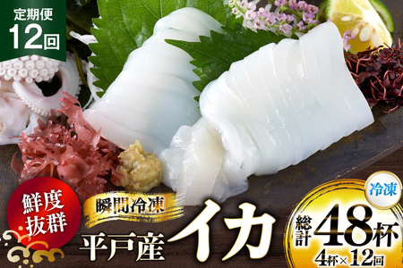 CN  CJ 4t 1pbNiⓀj 12  [ډY 茧 ˎs hr42bgy420351]