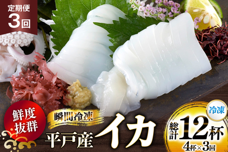 海鮮 魚介 イカ 4杯 1パック(冷凍) 3回 定期便 [舘浦漁業 長崎県 平戸市 hr42bgy420358]