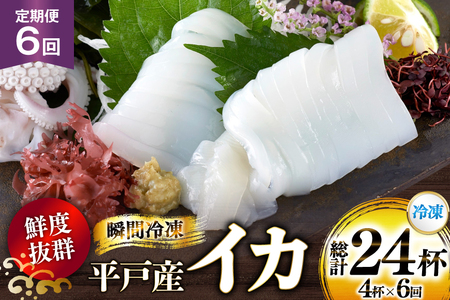 CN  CJ 4t 1pbNiⓀj 6  [ډY 茧 ˎs hr42bgy420359]