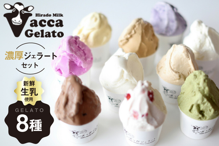 ジェラート アイス ミルク ジェラート100ml 8種 [平戸瀬戸市場 長崎県 平戸市 hr42bgy420250]