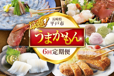 サーロインステーキ とんかつ ヒラメ ウチワエビ ジェラート ヤリイカ 平戸うまかもん 定期便 [平戸瀬戸市場 長崎県 平戸市 hr42bgy420395]
