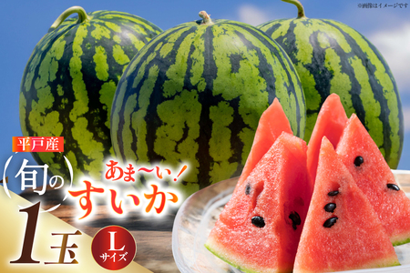 スイカ 大玉 平戸産スイカ 1玉 Lサイズ 6kg ~ 7kg [ひらど新鮮市場 長崎県 平戸市 hr42bgy400084]