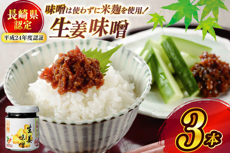 味噌 無添加 生姜味噌 約 300g 100g 3本 [ひらど新鮮市場 長崎県 平戸市 hr42bgy400093]