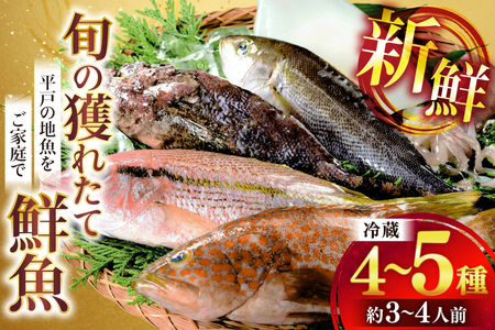 鮮魚 詰め合わせ 旬の獲れたて鮮魚 4種 〜 5種 [ひらど新鮮市場 長崎県 平戸市 hr42bgy400116]