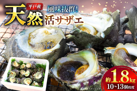 サザエ つぼ焼き 天然 活サザエ 1.8kg 10個 〜 13個 程度 [ひらど新鮮市場 長崎県 平戸市 hr42bgy400140]