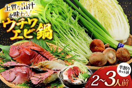 鍋セット 海鮮 平戸ウチワエビ鍋セット 安心の地元 野菜付 2〜3人前 [ひらど新鮮市場 長崎県 平戸市 hr42bgy400154]