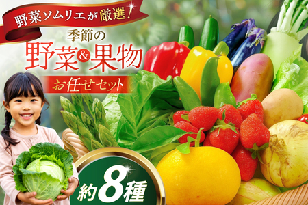 野菜 果物 セット 安心の地元野菜と果物のお任せセット [ひらど新鮮市場 長崎県 平戸市 hr42bgy400171]