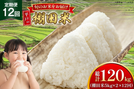  ߘa7N Ic 5kg 2 v 10kg 12  v120kg [ЂǐVNs 茧 ˎs hr42bgy400177]