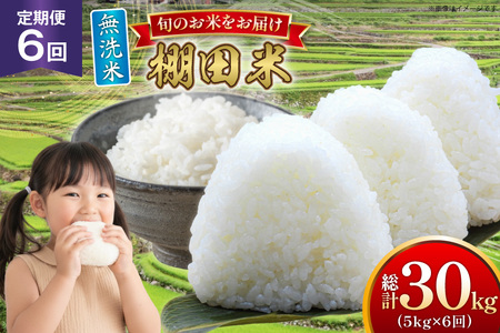  ߘa7N  Ic 5kg 6  v30kg [ЂǐVNs 茧 ˎs hr42bgy400194]