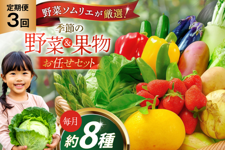 野菜 果物 ソムリエ厳選 地元野菜 果物 3回 定期便 [ひらど新鮮市場 長崎県 平戸市 hr42bgy400197]