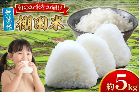 米 令和7年 無洗米 棚田米 5kg [ひらど新鮮市場 長崎県 平戸市 hr42bgy400199]