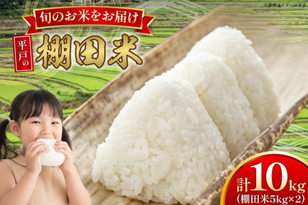  ߘa7N Ic 10kg [ЂǐVNs 茧 ˎs hr42bgy400202]