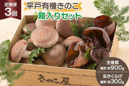 きのこ しいたけ きくらげ 生椎茸 生きくらげ 箱入りセット 3回 定期便 [きのこ屋 長崎県 平戸市 hr42bgy410164]