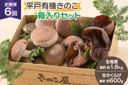 ̂  炰 ő 炰 Zbg 6  [̂ 茧 ˎs hr42bgy410165]