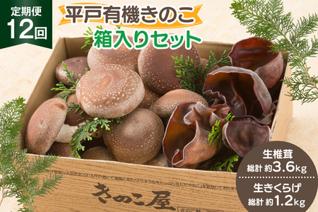 ̂  炰 ő 炰 Zbg 12  [̂ 茧 ˎs hr42bgy410166]