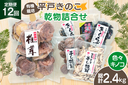 ̂  炰 ő XCXő 炰 ő̕ 󂠂芣ő ő Zbg 12  [̂ 茧 ˎs hr42bgy410173]