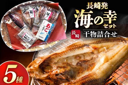 干物 セット お試し 干物 5種 詰め合わせ [篠崎海産物店 長崎県 平戸市 hr42bgy410091]
