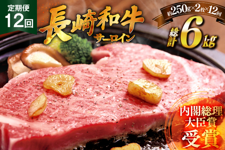 a Xe[L a T[C 250g 2 \[Xt 12  v6kg [HY 茧 ˎs hr42bgy410030]