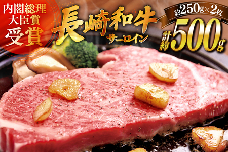 和牛 ステーキ サーロイン 250g ソース付き 2枚 [萩原食肉産業 長崎県 平戸市 hr42bgy410040]