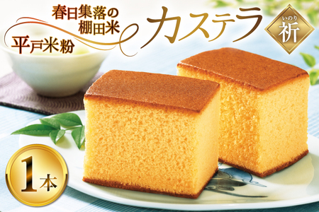 カステラ 長崎 祈(いのり) 1本 約 400g [つたや總本家 長崎県 平戸市 hr42bgy410037]
