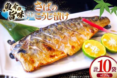 �I ���� �Ђ��� �Ћ� ���� �������� �Ⓚ �� �؂�g �T�o�̉��������Ђ� 10�� (��120g/��) [�Ђ��� ���茧 ���ˎs hr42bgy420368]