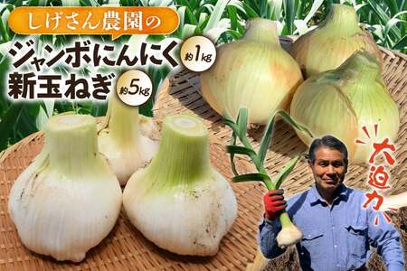 野菜 にんにく 玉ねぎ セット ジャンボにんにく 約1kg 新玉葱 約5kg 詰め合わせ [期間限定発送] [しげさん農園 長崎県 平戸市 hr42bgy420132]