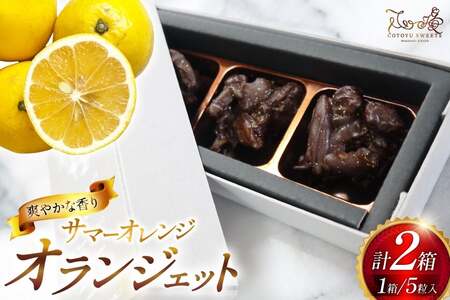 チョコ オランジェット サマー オレンジ 5粒入り 2箱 セット [心優-Cotoyu Sweets- 長崎県 平戸市 hr42bgy420205]