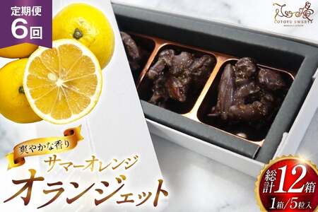 �`���R �I�����W�F�b�g �T�}�[ �I�����W 5������ 2�� �Z�b�g 6�� ����� ���v 12�� [�S�D-Cotoyu Sweets- ���茧 ���ˎs hr42bgy420260]