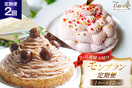 �^���g �����u���� 1�z�[�� 12cm 2�� ����� [�S�D-Cotoyu sweets- ���茧 ���ˎs hr42bgy420493]