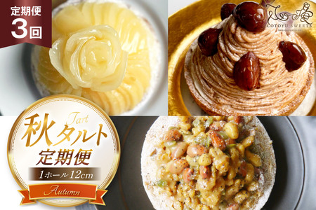 タルト 秋タルト 1ホール 12cm 3回 定期便 モンブラン キャラメルナッツ [心優-Cotoyu sweets- 長崎県 平戸市 hr42bjo490182]