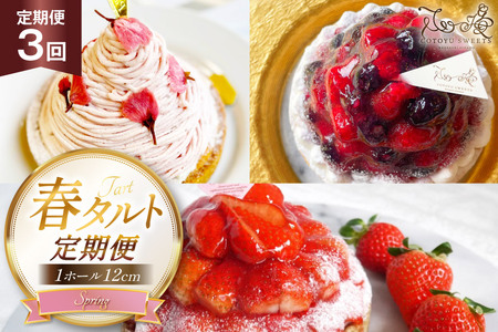 タルト 春タルト 1ホール 12cm 3回 定期便 さくら ブルーベリー&ラズベリータルト ストロベリー [心優-Cotoyu sweets- 長崎県 平戸市 hr42bjo490183]