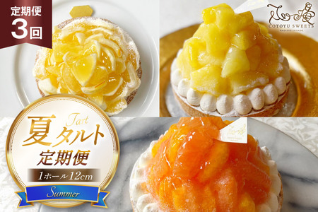 タルト 夏タルトB 1ホール 12cm 3回 定期便 夏香 パイン オレンジ&ピンクグレープフルーツ [心優-Cotoyu sweets- 長崎県 平戸市 hr42bjo490185]