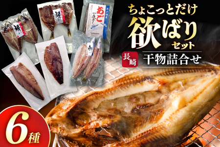 干物 ちょこっとだけ干物 セット 6種 [篠崎海産物店 長崎県 平戸市 hr42bgy410217]
