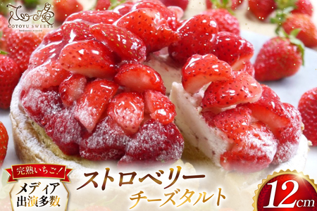 [期間限定] いちご タルト ストロベリー チーズタルト 1ホール 12cm [心優-Cotoyu Sweets- 長崎県 平戸市 hr42bjo490190]
