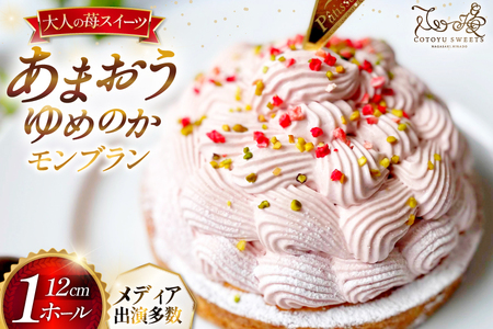 いちご あまおう ゆめのか モンブラン タルト 1ホール 12cm [心優-Cotoyu Sweets- 長崎県 平戸市 hr42bjo490196]