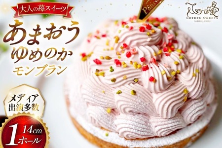 いちご あまおう ゆめのか モンブラン タルト 1ホール 14cm [心優-Cotoyu Sweets- 長崎県 平戸市 hr42bjo490039]
