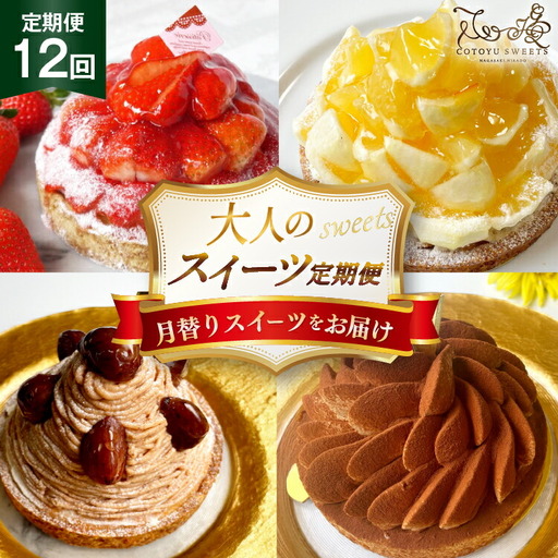 ケーキ タルト 1ホール 12cm 12種 食べ比べ 各回1ホール 12回 定期便 総計12ホール [心優-Cotoyu sweets- 長崎県 平戸市 hr42bjo490220]