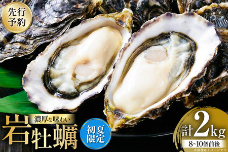 【先行予約】 【期間限定発送】 殻付き牡蠣 生食可 生牡蠣 約2kg 8～10個前後 [北川水産 長崎県 平戸市 hr42bgy400230]