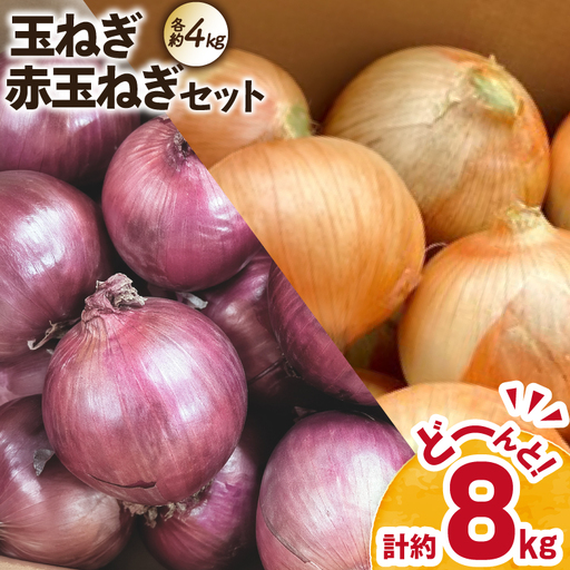 玉ねぎ 赤玉ねぎ セット 各約4kg 計約8kg [しげさん農園 長崎県 平戸市 hr42bgy420521]