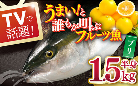 ブリ 半身 平戸なつ香 約1.5kg[(株)坂野水産][KAA004]/ 長崎 平戸 魚介類 魚 ぶり ブリ 内臓処理済 レシピ 刺身 たたき 刺身 塩焼き 漬け丼 しゃぶしゃぶ アレンジ 冷蔵 国産 長崎 魚介類 魚 ぶり 内臓処理済 レシピ たたき 塩焼き 漬け丼 しゃぶしゃぶ アレンジ 冷蔵 国産 