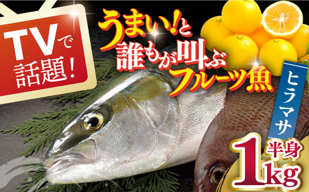 ヒラマサ 半身 平戸なつ香 ヒラス 約1kg[(株)坂野水産][KAA207]/ 長崎 平戸 魚介類 魚 ヒラス ひらす 内臓処理済 レシピ ヒラマサ ひらまさ 刺身 たたき 刺身 塩焼き 漬け丼 しゃぶしゃぶ アレンジ 冷蔵 国産 長崎 アレンジ 冷蔵 国産 