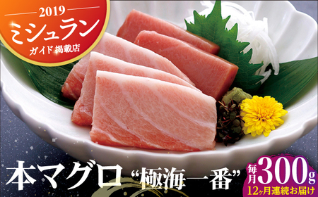 [12回定期便]本マグロ極海一番 300g[囲炉裏料理 エビス亭][KAC100]/ 長崎 平戸 魚介類 魚 刺身 マグロ 赤身 中トロ 大トロ 本マグロ 柵 ブロック