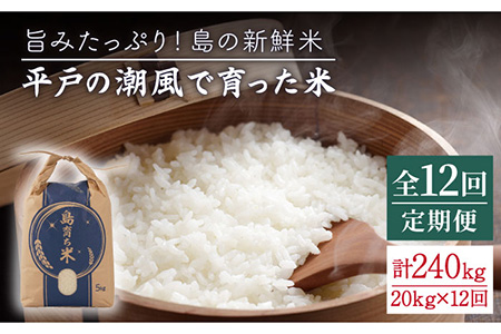 [12回定期便]平戸の潮風で育った米 20kg[平戸瀬戸市場協同組合][KAA290]/ 長崎 平戸 米 白米 精米 こしひかり ヒノヒカリ にこまる なつほのか 小分け 定期便