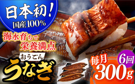 みー様専用高知県産うなぎ炭焼き８本 5pサイズ 自家製タレつき-