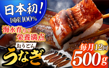 y12ցz Ȃ 500gyiLjiYz[KAB143]/     Ȃ V EiM Ȃ  Ȃ ΂₫ Ȃ ȂĂ