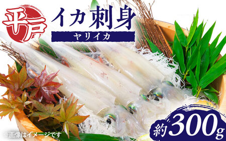 平戸のヤリイカ刺身 約300g[百旬館][KAK023] 今が旬