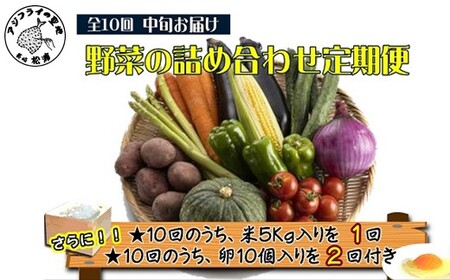 米5kgと卵20個付き!野菜の詰め合わせ定期便10回(中旬)[定期便] ( 米 ご飯 ごはん お米 白米 卵 たまご 野菜 やさい 詰め合わせ 定期便 季節の野菜 旬 おまかせ 新鮮 とれたて おすすめ )[K00-008]