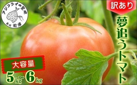 訳あり！ご家庭用に大活躍　夢追うトマト5kg～6kg( トマト とまと ジューシー リコピン 期間限定 松浦市 松浦産 大玉トマト 訳ありトマト )【B0-190】