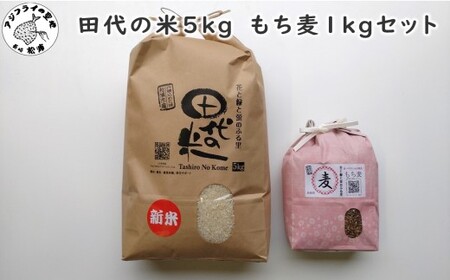 限定！！ 田代の米5kgと もち麦1kgセット【B4-086】米 もち麦 コシヒカリ ヒノヒカリ 紫もち麦 もち麦 セット