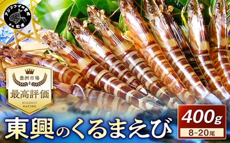 [先行予約][宅配BOX不可]東興のくるまえび400g入[11月下旬〜12月発送]( くるまえび 東興のくるまえび 車海老 海老 エビ )[B6-029-12]